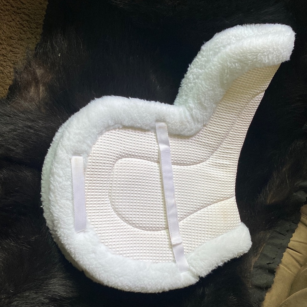 Equestrian riding horse show saddle pad